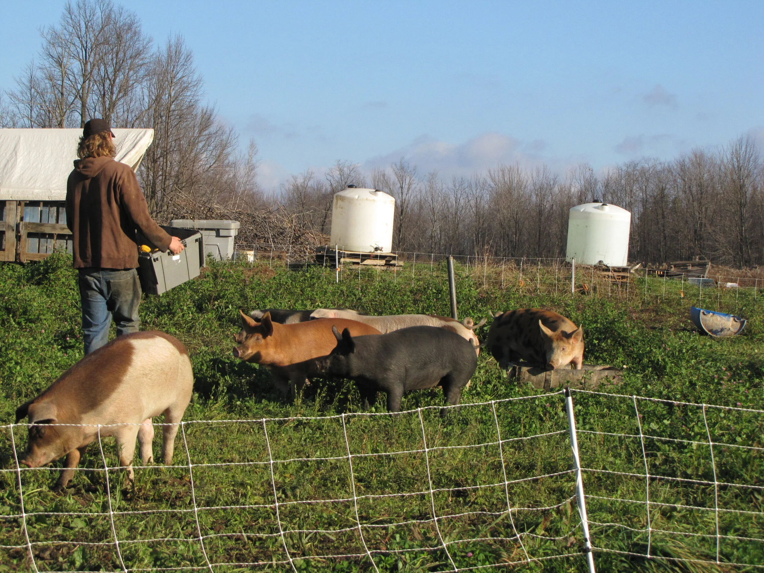 Products | Organic | Natural | Pasture Raised | GMO-Free